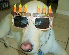 aaaaBrithday