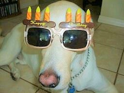 aaaaBrithday