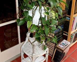 Wicker plant stand with plant