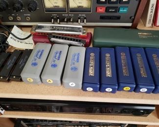 A lot of harmonicas 