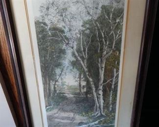 #62 - $5 - Birch Tree Picture - 25" by 36" Signed