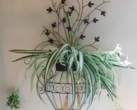 $20.  FAUX PLANT WALL SCONCE