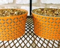 $10.  2 SUCCULENT PLANTERS.