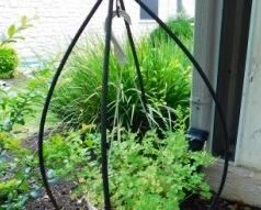 $35.  IRON STAND FOR HANGING PLANT.  40" TALL.  Email us or call 512-954-3050  to buy it now or make an offer.