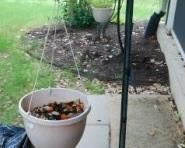 $5.  IRON PLANT STAND FOR HANGING PLANT