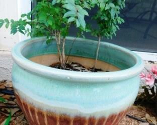 $35.  LARGE GLAZED POT.  12" TALL.  14" DIAMETER.