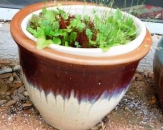 $35.  LARGE GLAZED POT.  12" TALL.  15" DIAMETER.
