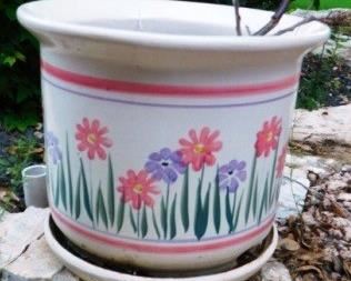 $25.  WHITE DAISY POT.  11" TALL.  13" DIAMETER.