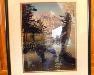 $10.  FRAMED LANDSCAPE PRINT