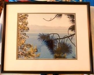 $10.  FRAMED LANDSCAPE PRINT