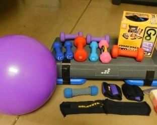 $50.  LOT OF WORKOUT GEAR.  INCLUDES 12 HAND WEIGHTS, EXERCISE BALL, GO FIT PRO GYM SET, STEP UP PLATFORM AND MORE.