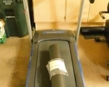 $500.  HORIZON T101 TREADMILL AND MAT.