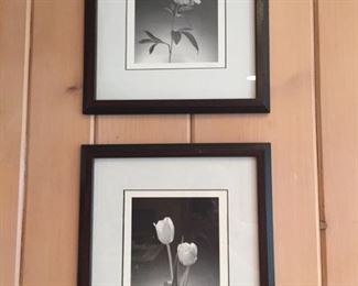 Flower Prints - Matted and Framed