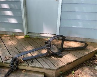 Antique bear trap