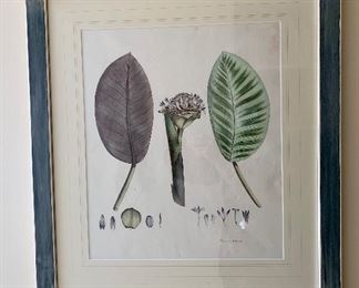 $525ea Wm Roscoe original hand colored lithograph "B" from "Monandrian Plants with the Order Scitaminae", 1828.  Liverpool. Matted and framed in hand finished green and white painted frames.  Approx 25" x 29".  Only 150 copies of this book produced.