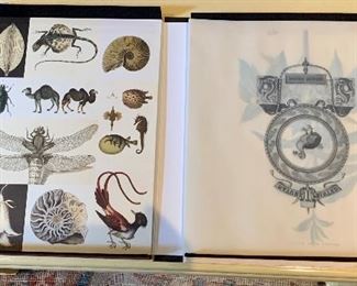 Eleven images included