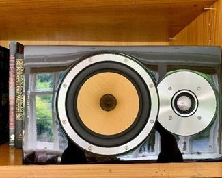 Back view of speaker