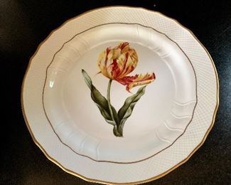 $300 each. Anna Weatherley  Old Master (Hollohaza/Hungary mark) Dinner plate 10.25 inches.  3 Tulips available.
