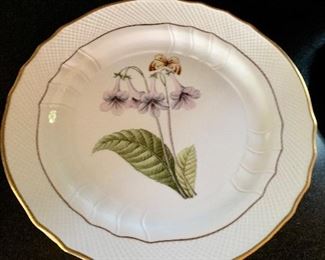 $300.  Anna Weatherley Floral Dinner Plate E.