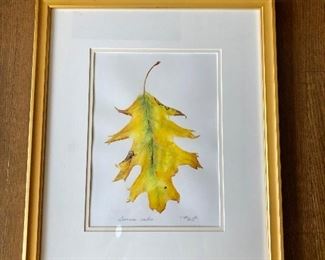 $275 Original watercolor "Quercus Rubra" by Clarissa Bonde (UK artist) 18.5"H x 15.5"W