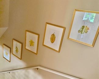 Gallery wall of Clarissa Bonde original watercolors 