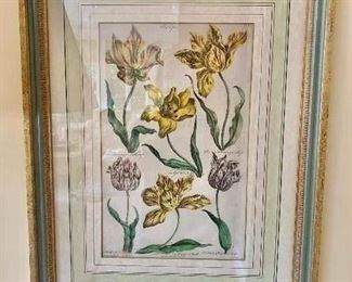 Detail: Two of Two John Hill hand colored botanical (24.5"H x 18"W)