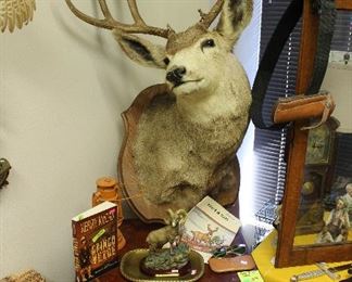 Huge Muley from the 50s