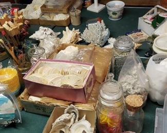 Seashells and Crafting Supplies