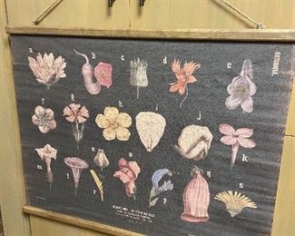 Unique wall hanging.