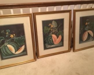 $175 Set of three melon prints 25”L x 30”T 