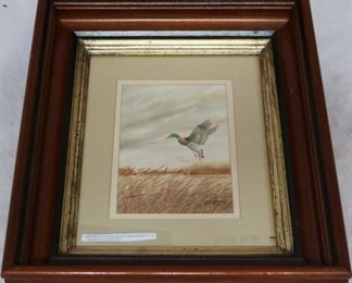 Lot# 80 - American Waterfowl Duck print