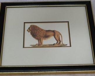 Lot# 82 - Lion Framed Print