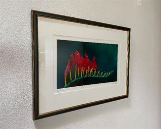 Crocosmia by Neihoff