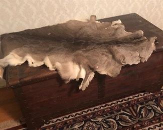 antique trunks and more