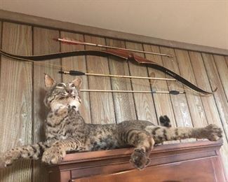 cats are just hangin out BOW SOLD