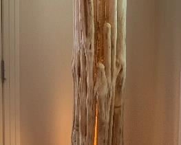 Saguaro Skeleton Cactus Floor Lamp	79x24x29in	HxWxD	AH100