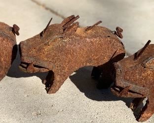 3pc Rustic Metal Javelinas	6.5x3x9in	HxWxD	AH176