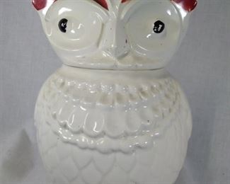 American Bisque Owl