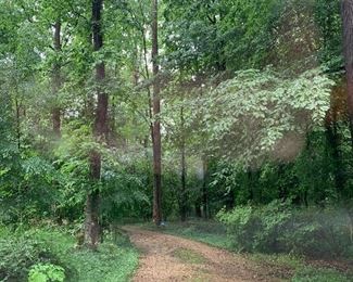 View of the short walk to the house.