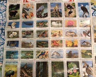 $250 for all entire stamp collectionc