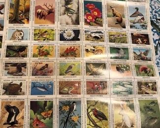 $250 for all entire stamp collectionc