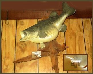 Bass Pro Shops Wildlife Creations Taxidermy Fish with Plaque Dated 1985