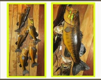 Taxidermy Fish Mount Containing 5 Fish on Driftwood Board