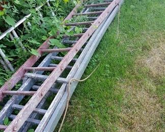 vintage apple picking ladders