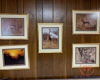 Vintage African Safari Framed Photos