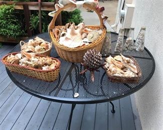 Sally This Ones For You Seashells Galore