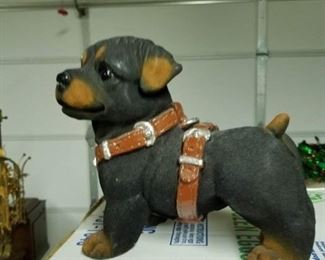 Rotweiler puppy bank $20