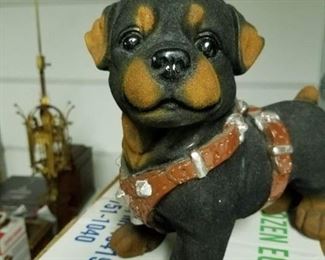 Rotweiler puppy bank $20