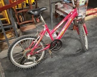Roadmaster sport red 20" girls bike was $75 now $60