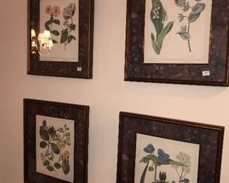 nicely framed botanical prints